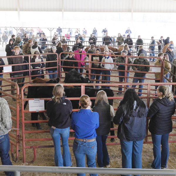 Conway FFA Career Development Event