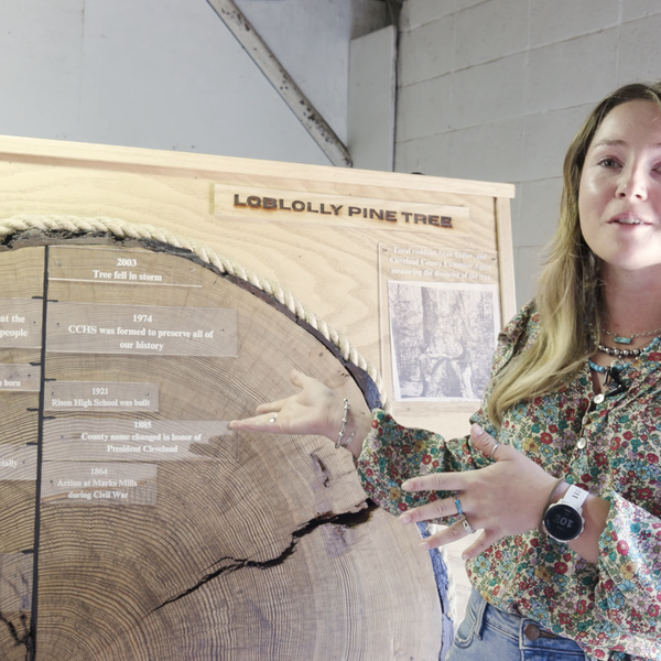 National Champion Loblolly Pine | Rison FFA
