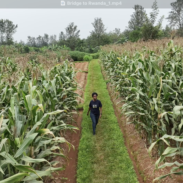 Arkansas’ Unique Connection to Rwanda