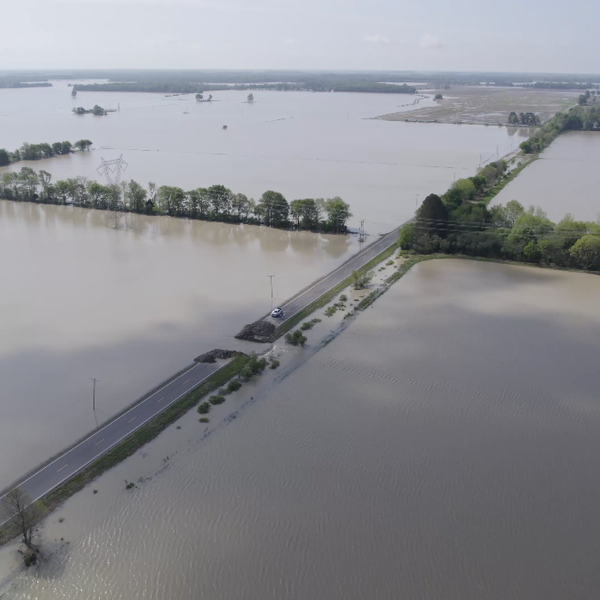 Preliminary Numbers Show Significant Crop Damage from Floods