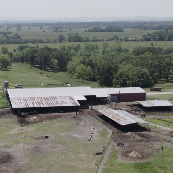 First-Generation Ranchers Land In Ozarks