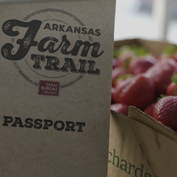 Mighty Rib & Barnhill Orchard | Arkansas Farm Trail