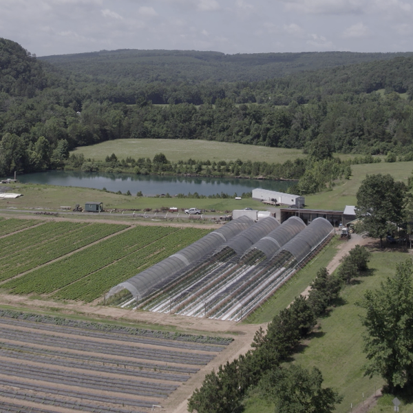 Wade Lucas Farms