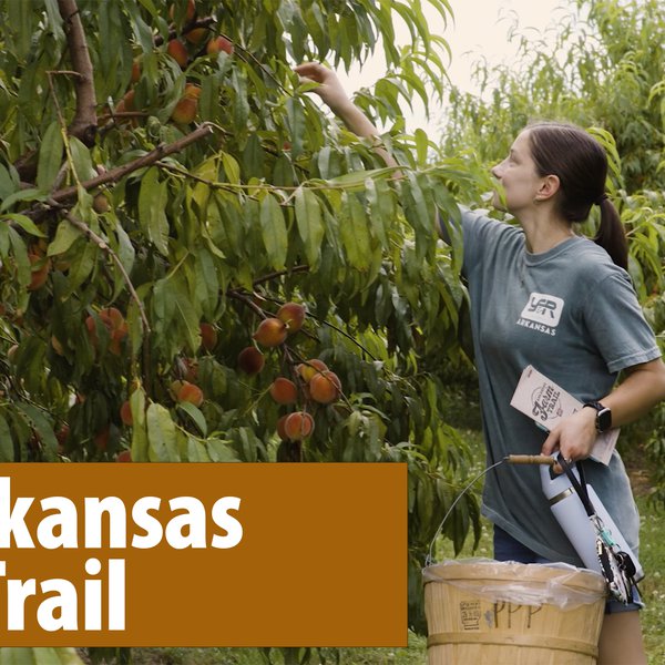 The Arkansas Farm Trail