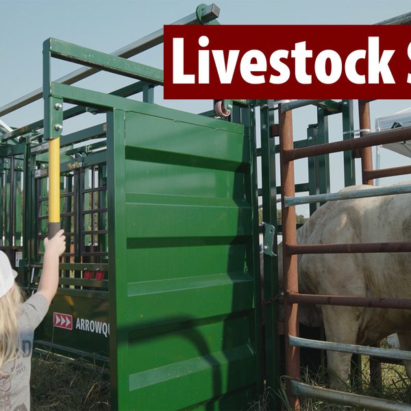 Livestock Safety