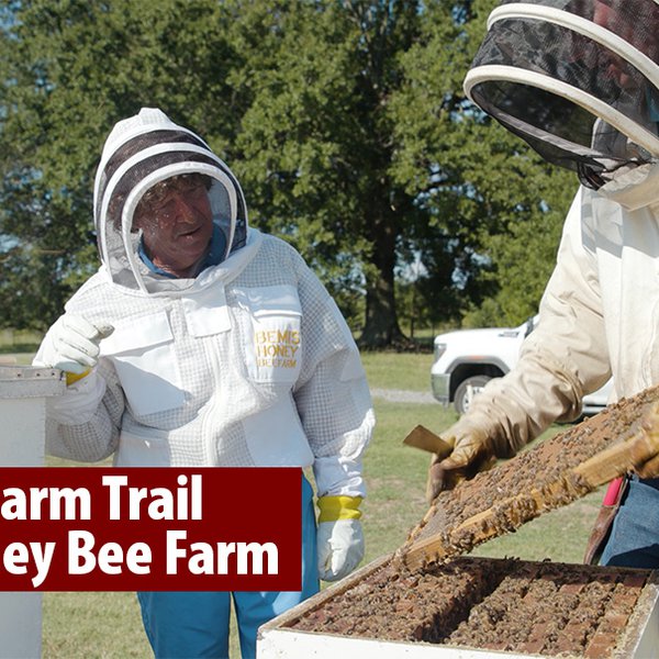 Arkansas Farm Trail | Bemis Honey Bee Farm