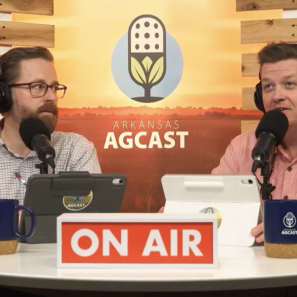 Farm Bill 2.0 News, Specialty Crop Bridge Payments and Much More | Arkansas AgCast