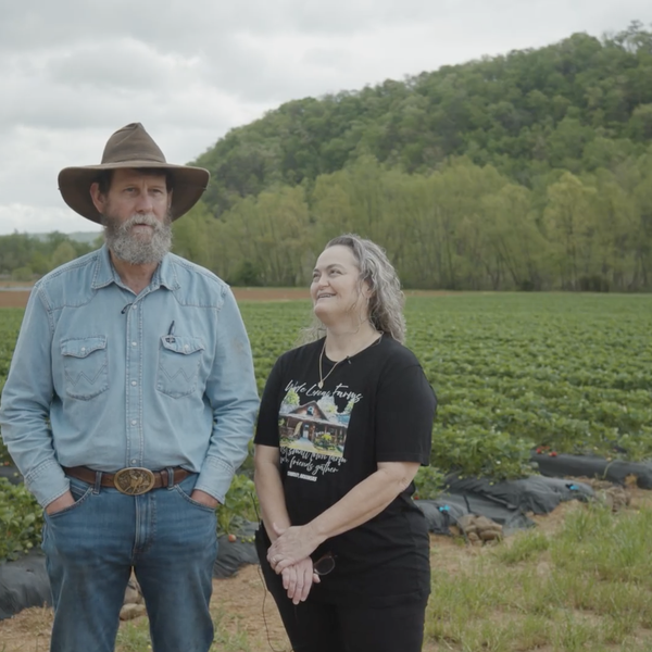 Arkansas Farm Trail | Wade Lucas Farms