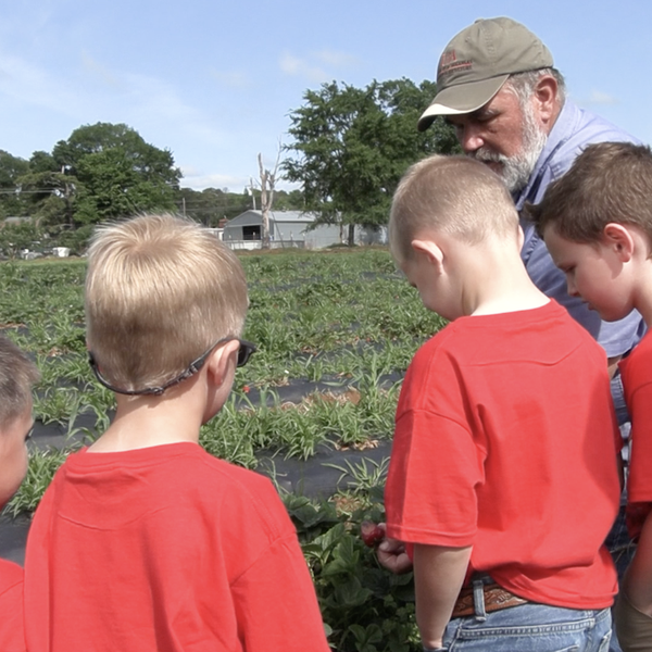 700 Kindergarten and 1st Graders Rush Farm