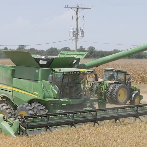 Rice Acres Down, Yields Good