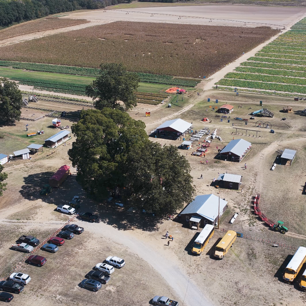 Arkansas Farm Trail | Peebles Farm