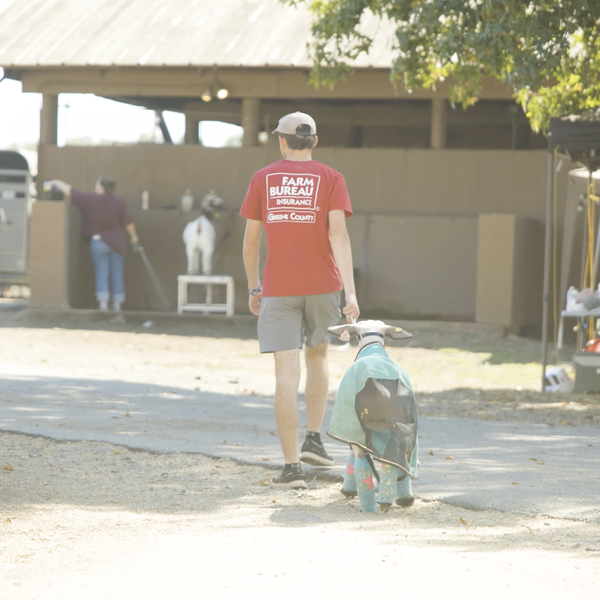 2026 Arkansas State Fair | Cedar Ridge FFA