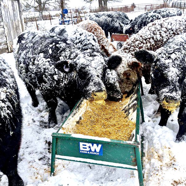 Arkansas Farms Face Winter Storm