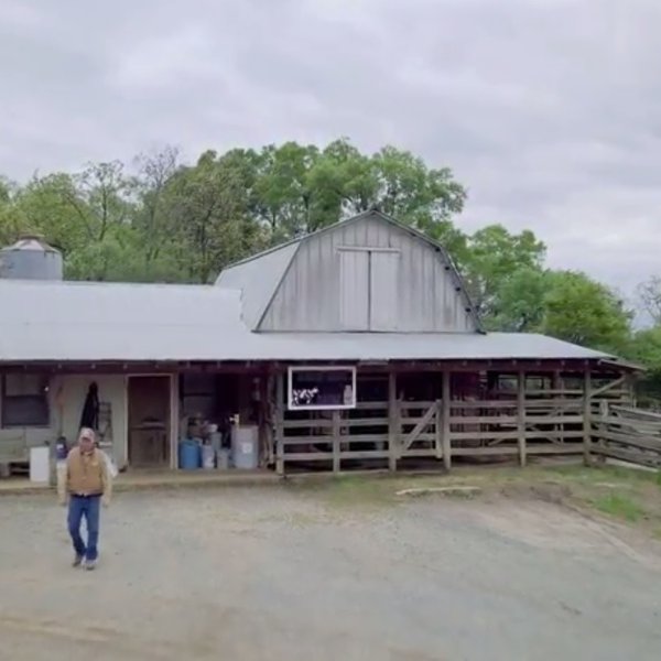 Rows & Ranches on Cow Health