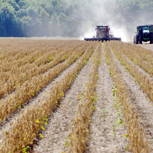 Market Briefs | Sept. 30, 2021