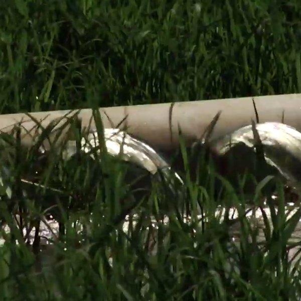 Water Conservation on the Farm