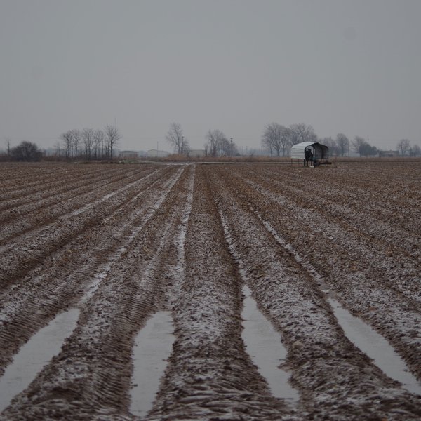 Market Briefs for March 15