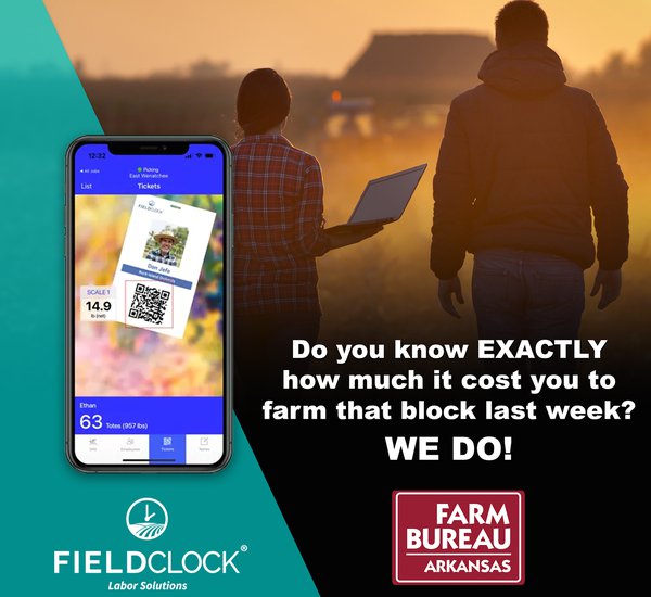 Save Time and Money with FieldClock