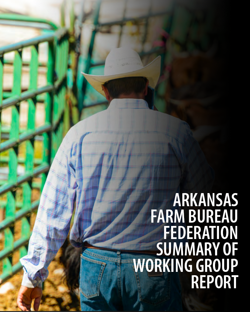 Americna farm bureau federation cattle market working group report