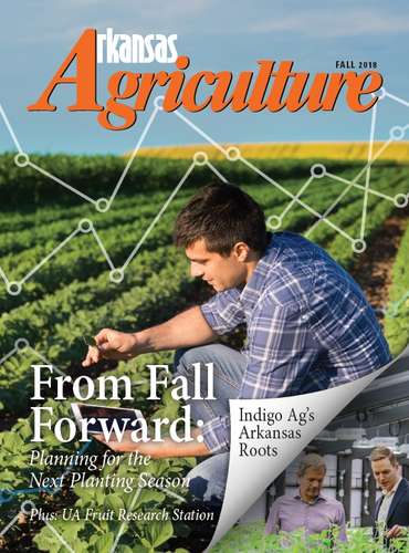 Arkansas Agriculture Magazine - Fall 2018