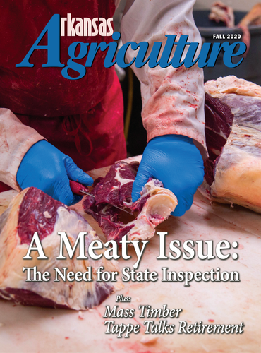 Arkansas Agriculture | Fall 2020